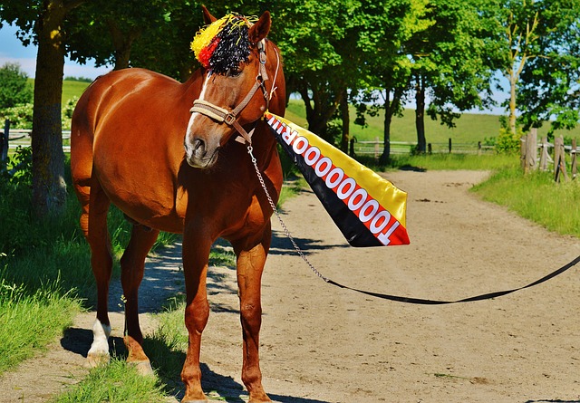 心的重要条 心的重要条