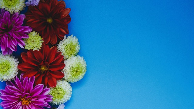 不仅是对票 不仅是对票