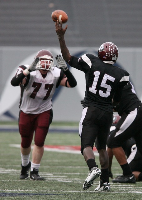 兰的一项战 兰的一项战