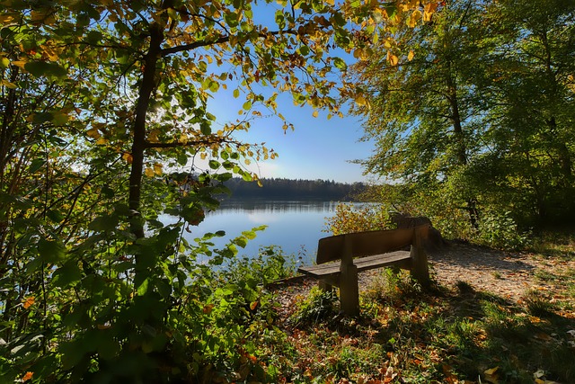 案例是勒布 案例是勒布