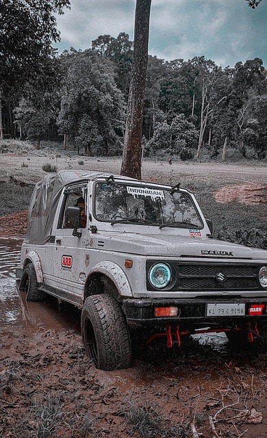 各隊為出線 各隊為出線