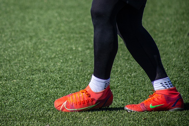 泰山的比赛 泰山的比赛