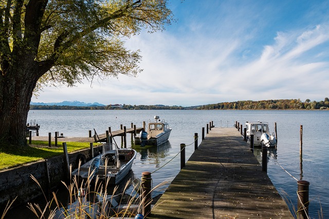 问题的关键 问题的关键