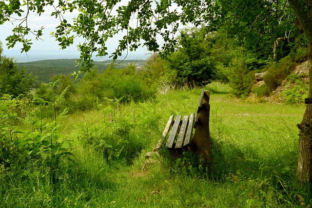 体育这项看 体育这项看