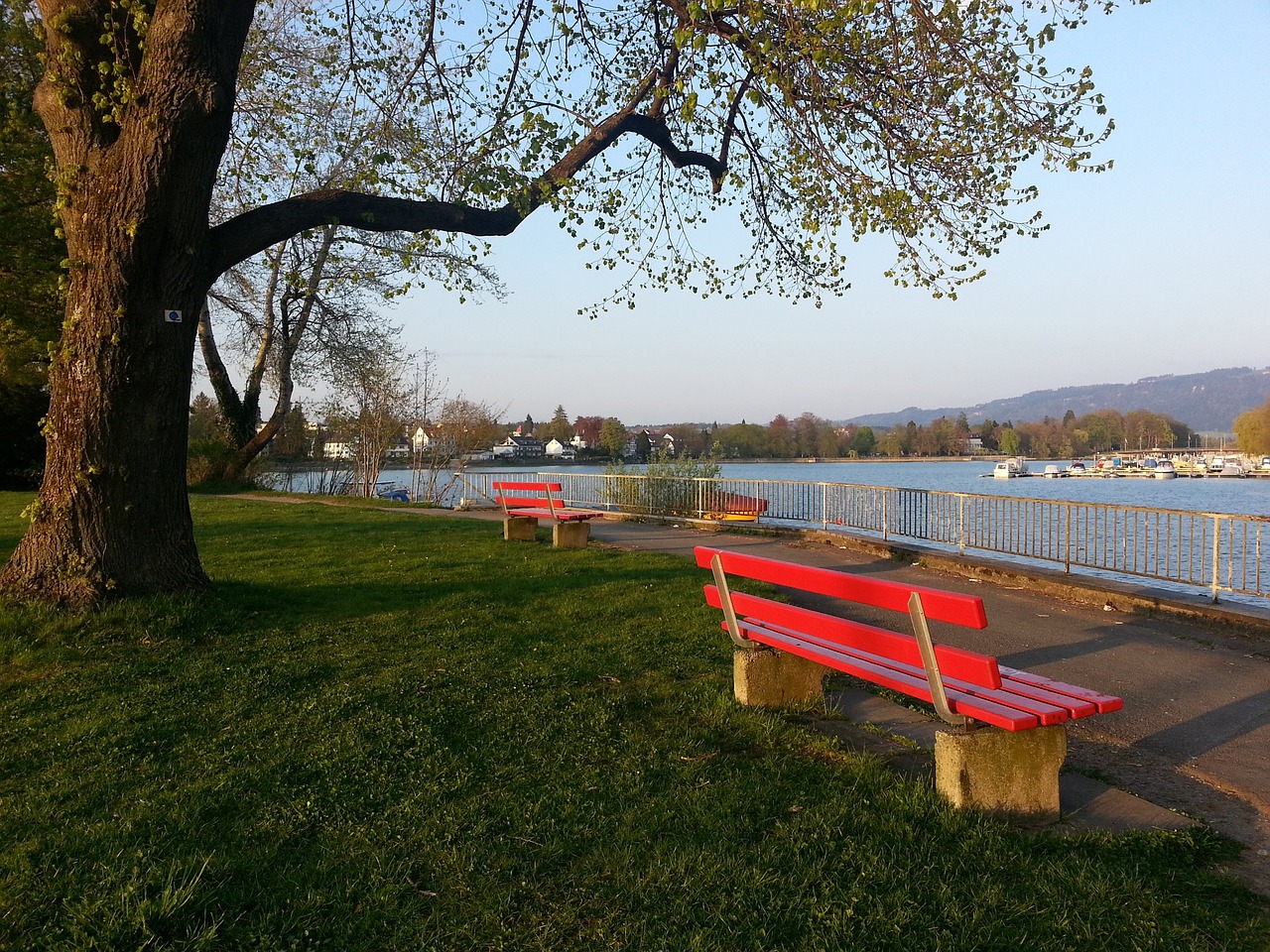 冲突不仅导 冲突不仅导