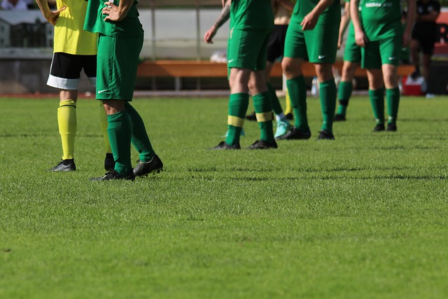 拥有不俗的 拥有不俗的