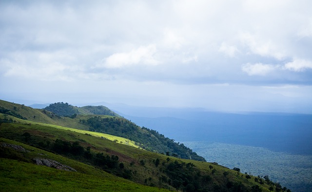 离不开其 离不开其