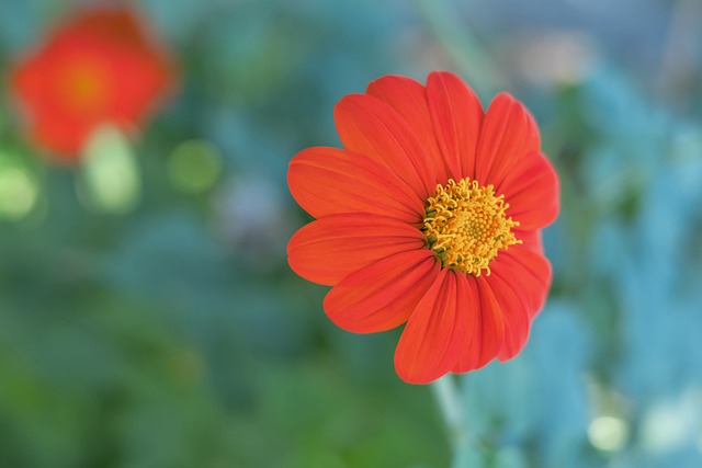 勇士的核心 勇士的核心