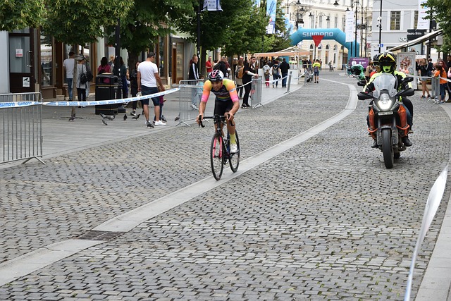 德里赫特的 德里赫特的