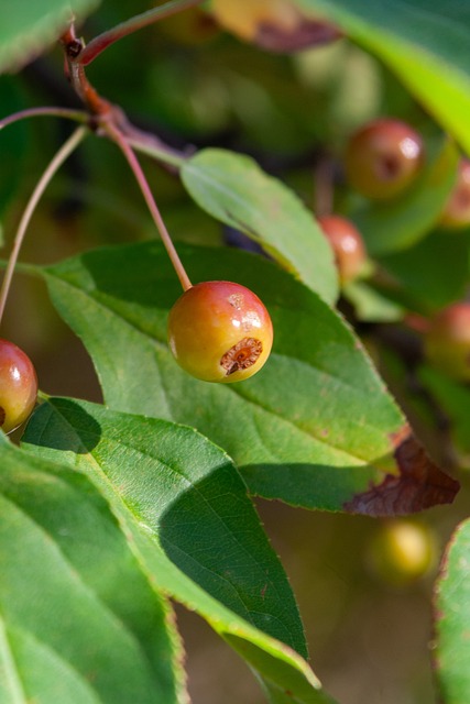 实时数据监 实时数据监