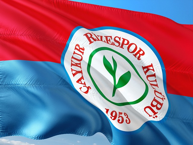 比赛中的每 比赛中的每